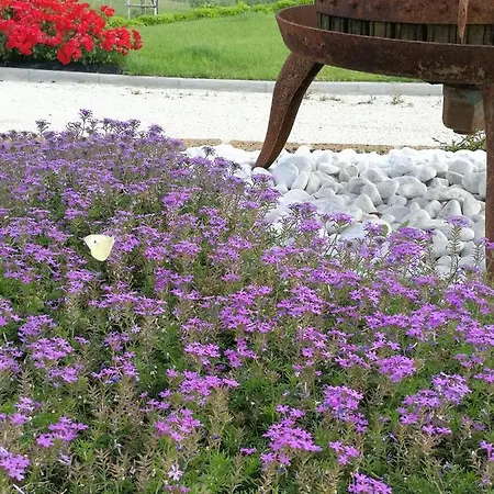 Itufi Bed & Breakfast