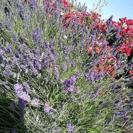 Couette-café Itufi 3*