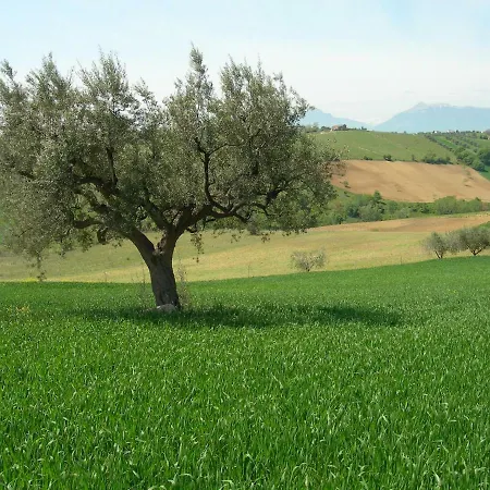 Itufi 3* Colonnella