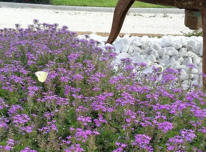 Itufi ベッド・アンド・ブレックファスト