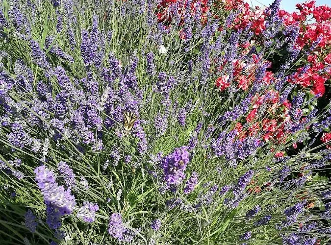 Bed & Breakfast Itufi 3*