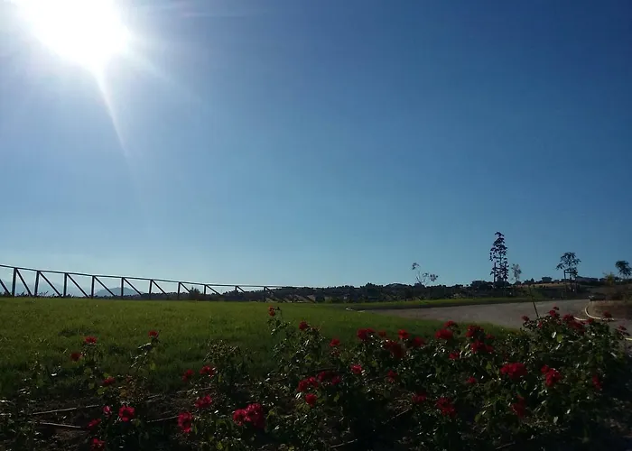 Itufi コロンネッラ